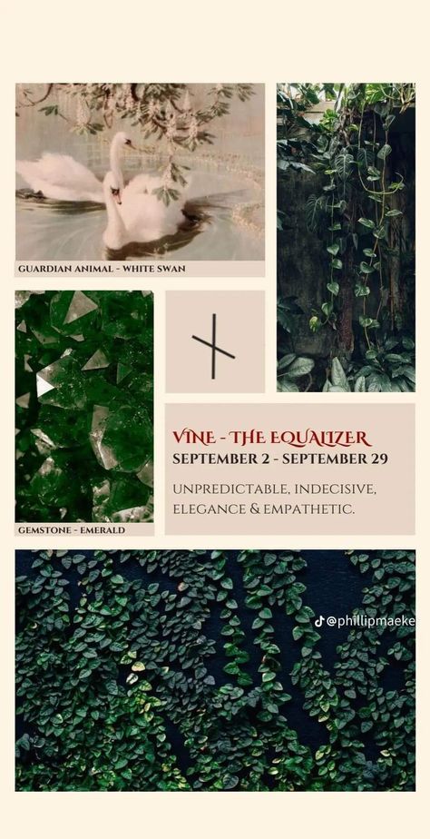 Celtic Zodiac Signs, Celtic Zodiac, Aesthetic Pin, Plants Aesthetic, 2 September, Celtic Astrology, Celtic Mythology, Celtic Tree, White Swan