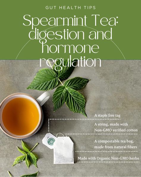 spearmint tea, wellness, gut health digestion, hormone regulation, skin, acne Hormone Regulation, Tea For Digestion, Spearmint Tea, Living Healthy, Gourmet Food, Herbal Tea, Gut Health, Bagpack, Travel Dreams