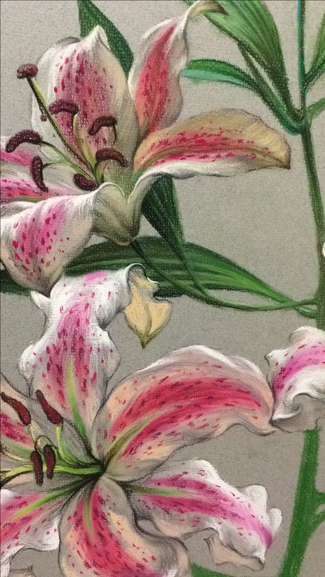 Lilies Drawing, Piskel Art, Lily Painting, Pretty Drawings, Painting Art Projects, Pastel Art, Art Portfolio, Funky Art, Pretty Art