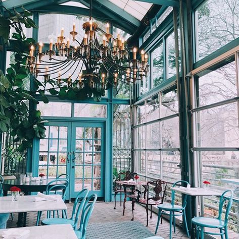 The Most Beautiful Restaurants in San Antonio | San Antonio | San Antonio Current San Antonio Things To Do, San Antonio Vacation, Most Beautiful Restaurants, San Antonio Restaurants, Beautiful Restaurants, Texas Restaurant, Best Cocktail Bars, Downtown San Antonio, Dinner Restaurants