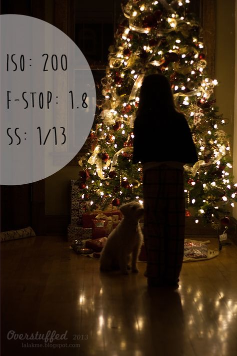 How to take a silhouetted photo in front of the Christmas Tree Christmas Tree Silhouette, Photography Settings, Xmas Photos, Photography Cheat Sheets, Holiday Photography, Affinity Photo, Photography Help, Dslr Photography, Photography Basics