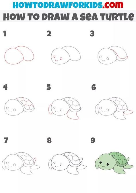 How to Draw a Sea Turtle Drawings step by step for kids #drawingsstepbystepforkids Drawing ideas #drawingideas Drawing ideas for kids #drawingideasforkids 2.579 Draw Turtle, Draw A Sea Turtle, Cartoon Sea Turtle, Draw A Turtle, Draw Sea Animals, Sea Images, Sea Turtle Drawing, Sea Creatures Drawing, Avengers Drawings