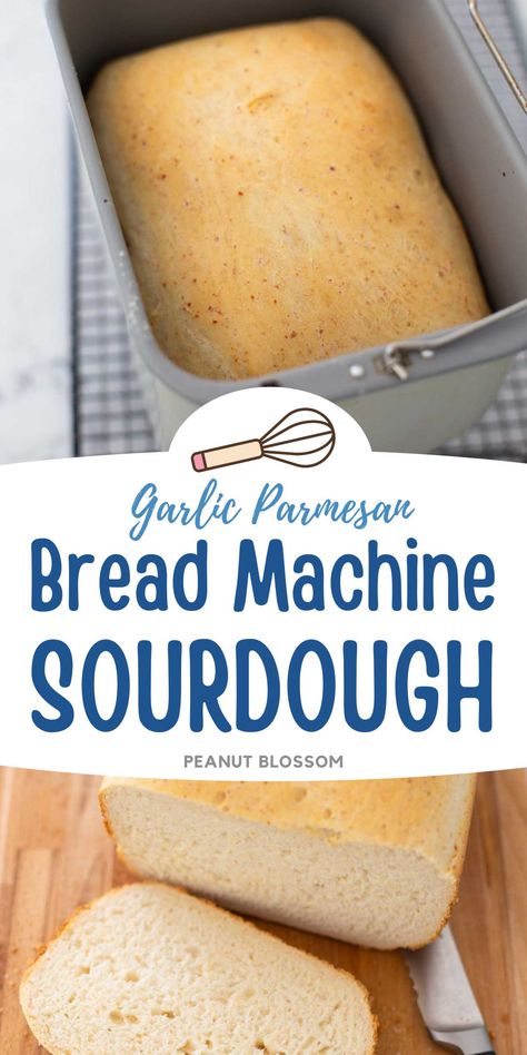 This garlic parmesan sourdough bread is an easy bread machine recipe that pairs well with so many delicious and easy dinners! Use it in place of garlic bread for pasta night or dip it into a savory soup or chili. Bread For Pasta, Parmesan Sourdough Bread, Bread Machine Sourdough, Foolproof Bread Recipe, Sourdough Bread Machine, Beginner Baker, Ground Turkey Soup, Bread Machine Recipe, Peanut Gallery