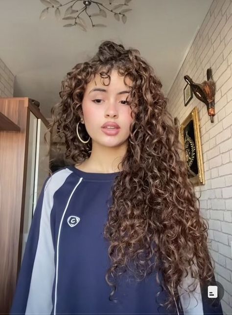 Curly Hair And Highlights, Wavy Hair Brown Highlights, Brunette Curly Hair Aesthetic, Ash Brown Hair Curly, Chestnut Brown Hair Curly, Curly Hair Volume Haircut, Brown Ombre Curly Hair, Curly Hair Cuts Long Layers, Curly Chocolate Brown Hair