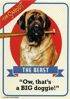 Awesome Sandlot Dog, British Mastiff, Mastiff Breeds, Giant Dog Breeds, Mastiff Puppies, Fierce Animals, Tibetan Mastiff, Mastiff Dogs, Sandlot