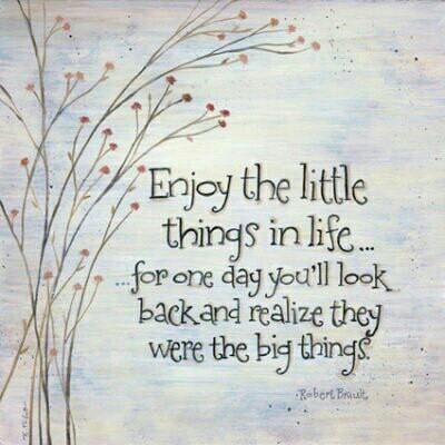 It's the simple things in life that matter most! The Little Things In Life, Little Things In Life, Enjoy The Little Things, Inspirational Quotes Pictures, Words Worth, Big Things, Great Words, E Card, Wonderful Words