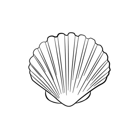 Shell Outline Tattoo, Seashell Outline, Sea Shell Tattoo, Seashell Drawing, Shell Graphic, Shell Tattoo, Shell Drawing, Shell Tattoos, Sketching Tips