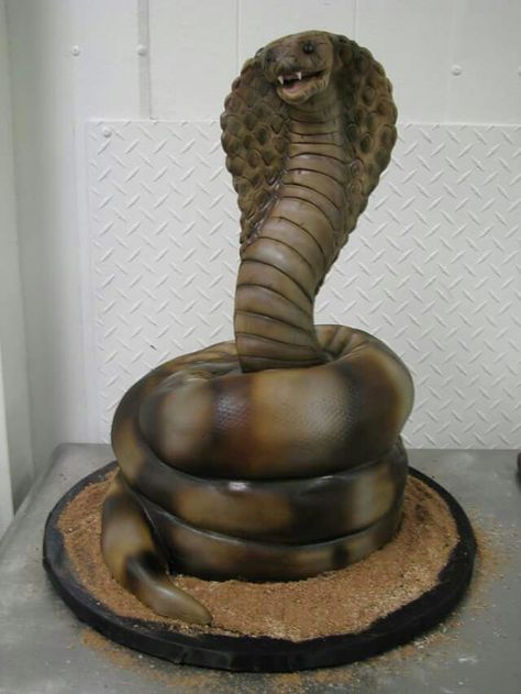 King cobra cake Cobra Cake, Diy Sharpie Crafts, Snake Cake, Pictures Of Cakes, Horror Cake, Snake Cakes, King Cobra Snake, Snake Party, Interesting Cakes