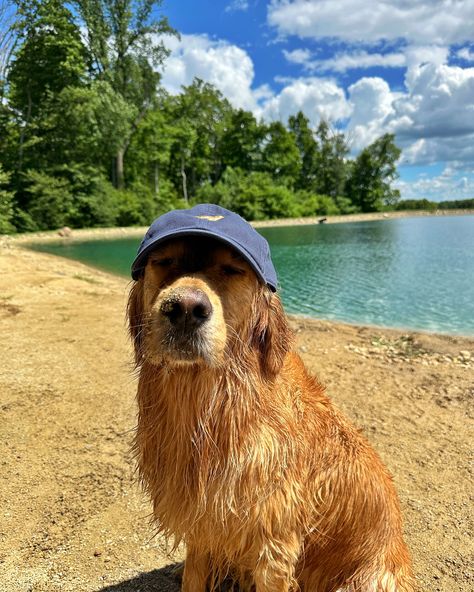 Summer days wouldn’t be the same without my @47 hat from the Dog Collection 🧢 use code DONUT20 for 20% off your purchase at 47brand.com #ad #47brand 47 Hat, Living A Happy Life, Cute Dogs Images, Very Cute Puppies, Dog Day, Very Cute Dogs, Really Cute Dogs, Adorable Dogs, Cute Animals Images