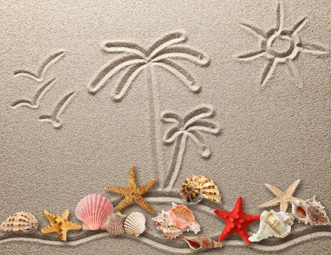 seashells #sand #figure #shell #texture #sand #drawing #starfish #seashells #4K #wallpaper #hdwallpaper #desktop Beach Wall Collage, Wallpaper Iphone Summer, Beach Photography Poses, Ocean Wallpaper, Beach Wallpaper, Summer Wallpaper, Summer Pictures, Beach Fun, Beach Art