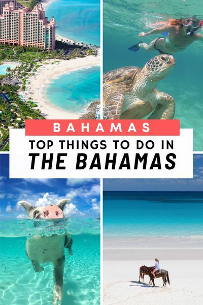 Long Island Bahamas, Bahamas Travel Guide, Bahamas Resorts, Caribbean Life, Exuma Bahamas, Travel Caribbean, Beach Inspiration, Bahamas Travel, Bahamas Vacation