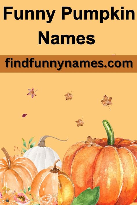 Whether you're decorating your home, planning a pumpkin carving contest, or just want to add some humor to your Halloween festivities, our extensive list of pumpkin names is here to inspire you. From pun-tastic plays on words to clever pop culture references, there's something for everyone. #FunnyPumpkinNames #CreativeIdeas #PumpkinHumor #HalloweenLaughs #PumpkinCarvingParty #PumpkinNamingContest. Pumpkin Names, Pumpkin Puns, Old Lady Names, Pun Names, Fake Names, Pumpkin Quotes, Random Names, Meme Names, Witch Names