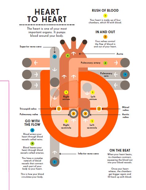 Data Vizualisation, Infographic Layout, Infographic Inspiration, Data Visualization Design, Data Visualisation, Graphic Design Infographic, Science Illustration, Data Design, Infographic Poster