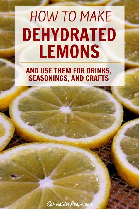 Uses For Dehydrated Lemons, Dehydrate Lemons In Dehydrator, Drying Lemons In Oven, Dehydrated Lemons In Dehydrator, Dehydrating Lemons In Dehydrator, Dehydrate Lemon Slices, Freeze Dried Lemons, Cosori Dehydrator Recipes, Dehydrate Lemons