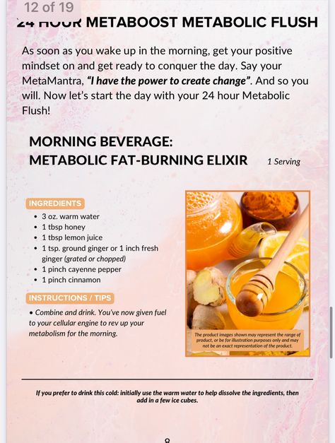 Metaboost Meal Plan, Meredith Shirk Metaboost, Meredith Shirk Metaboost Fat Flush, Metaboost 7 Day Meal Plan, Svelte 7 Day Meal Plan, Metaboost 24hr Fat Flush, Svelt Training, Svelte Recipes, Metabolic Flush