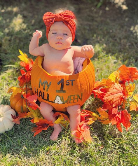 Baby Pictures In Pumpkins, First Halloween Pumpkin Pictures, Baby Pumkin Shoot, Baby I’m Pumpkin Pictures, Baby Pumkins Ideas, Babies First Halloween Pumpkin, Babies In Pumpkins Photography, 2 Month Old Fall Photo Shoot, Baby In Pumpkin Ideas