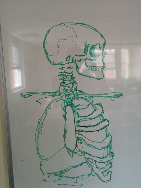 Whiteboard skeleton doodle artwork Whiteboard Drawings Ideas, Whiteboard Marker Art, Whiteboard Sketch, Marker Board Drawings, Drawing Ideas Whiteboard, Art On Whiteboard, Drawing On Whiteboard, Aesthetic Whiteboard Drawings, Cool Whiteboard Drawings