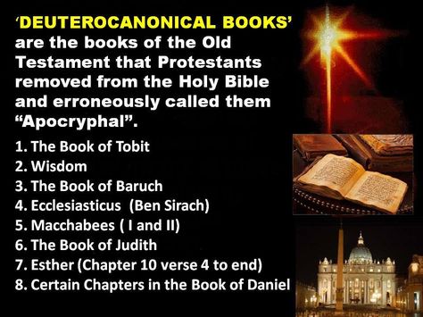 Deuterocanonical Books The Reformatory Book, Idolatry Bible Truths, Deuterocanonical Books, Satanic Bible Book, Christian Apologetics Books, Hebrew Language Words, Book Of Daniel, The Ressurectionist Book, Religious People