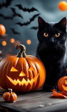 Helloween Wallpaper, Happy Halloween Pictures, Halloween Decor Diy, Cats Halloween, Halloween Wallpaper Backgrounds, Halloween Wallpaper Cute, Halloween Cats, Halloween Artwork, Black Cat Art