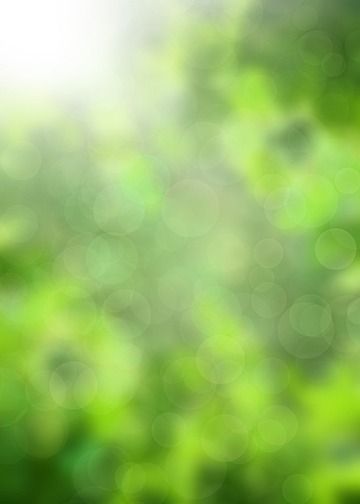 sunny defocused,nature,sunny,background,blur,bokeh,leaf,day,ecology,focus,sunlight,defocused,bright Green Bokeh Backgrounds, Blur Nature Background, Forest Background Aesthetic, Out Of Focus Background, Sunny Background, Mushroom Background, Spa Bar, Background Blur, Table Background