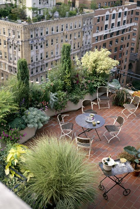 Rooftop Decor, Sf House, Rooftop Patio Design, Rooftop Dining, Roof Garden Design, Terrace Garden Design, Rooftop Terrace Design, Rooftop Design, Rooftop Patio