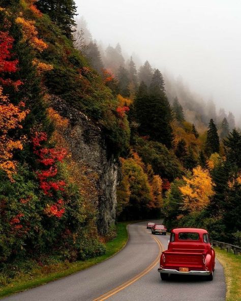 Craggy Gardens, Autumn Scenes, Autumn Scenery, Autumn Beauty, Fall Pictures, Autumn Cozy, Autumn Aesthetic, Autumn Inspiration, Blue Ridge