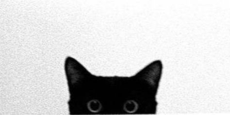 Tumblr Masterlist Header, Cat Cover Photo Facebook Aesthetic, Twitter Header And Profile Pic, Profile For Twitter, Cute Cat Header, Aesthetic Twitter Profile Pic, Black Cat Header, Cat Header Twitter, Cat Cover Photo