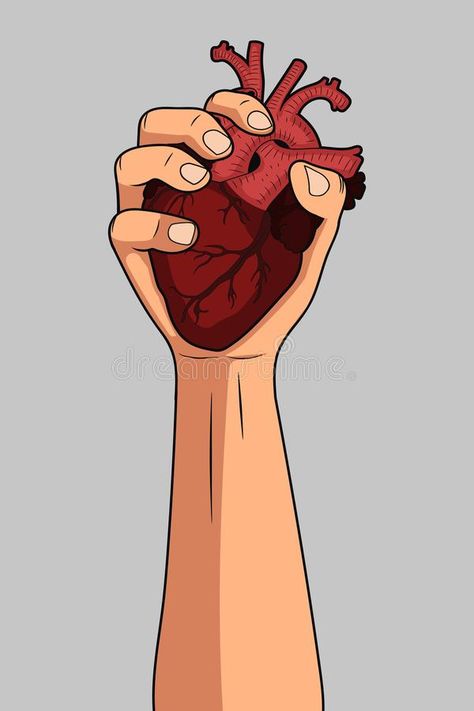 Vector illustration of human heart in hand. Isolated. Vector illustration of human heart in hand vector illustration Heart In Hand Reference, Hands Holding A Heart Drawing, Hand Holding Anatomical Heart, Hand Holding Heart Reference, Human Heart Photography, Holding Heart Pose, Human Heart Art Aesthetic, Holding Heart In Hand, Hand Holding Human Heart