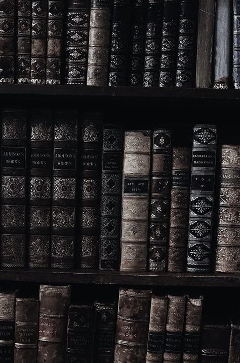 A Deadly Education Aesthetic, Zodiac Academy The Awakening, Dark Academia Black And White, Gothic Academia, Darkest Academia, Zodiac Academy, Library Aesthetic, The Awakening, Vox Machina