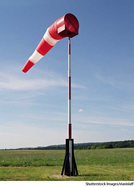 windsock Wind Blowing, The Wind, Wind Sock, Mens Pants, Meant To Be, Cute Animals, Patio, Education, Fashion Outfits