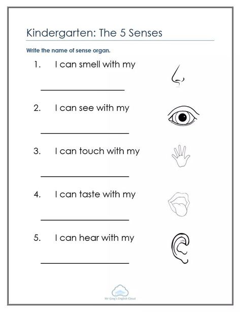 Evs Worksheet, Healthy Habits For Kids, Weather Worksheets, Test For Kids, English Grammar For Kids, Math Addition Worksheets, Family Worksheet, Trick Words, Grammar For Kids