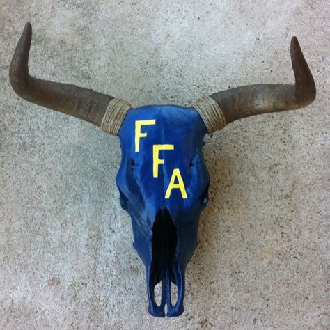 FFA Ag teacher gift. Made it for my older sister for her classroom, so proud of her. She's going to make a huge difference for her program. Ffa Locker Decorations, Ag Teacher Gift Ideas, Ffa Auction Ideas, Agriculture Teacher Classroom, Ffa Drawings, Ag Teacher Gifts, Ag Teacher Aesthetic, Ffa Classroom Decorations, Ag Classroom Ideas