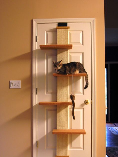 on the door cat tree; great space saver Over The Door Cat Tree, Door Hanging Cat Tree, Cat Diy Crafts, Spoiled Cats, Cat Bedroom, An Organized Home, Cool Cat Trees, Cat Patio, Diy Cat Tree