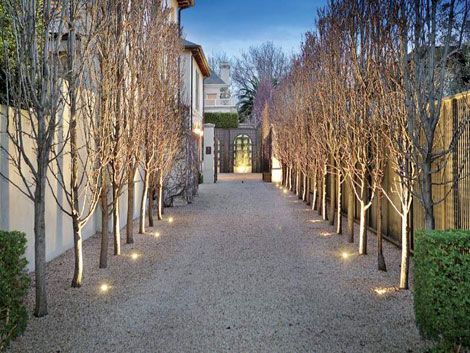 Trees for Drive Ways, Avenues and Paths. Pyrus - Capital Pear. Availble from Blerick Tree Farm.  www.dialatree.com.au Ornamental Pear Tree, Garden Spotlights, Tree Lined Driveway, Driveway Lighting, Driveway Landscaping, Deciduous Trees, Gorgeous Gardens, Courtyard Garden, Garden Trees