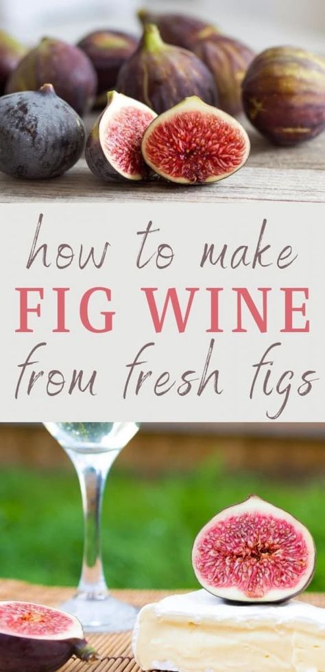 Fig Wine, How To Make Wine, Wine At Home, Fig Season, Fig Jam Recipe, Fermented Pickles, Home Canning Recipes, Wine Recipe, Cider Making