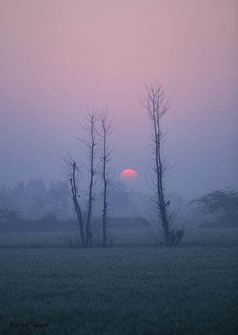 Buy Image  Mystic Sunrise Sunrise is a symbol of hope and mesmerizing experience to watch and sure a mystic experience. Winter mornings and countryside is best to watch such a memorable scene. Photography is all about observation and searching the right moment. I have plan this picture of sunrise in mystic winter morning. It is on the way of my college. In the months of December and January when humidity … Picture Of Sunrise, Sunrise Images, Symbol Of Hope, Winter Sunrise, Punjab Pakistan, Sunrise Landscape, Beautiful Morning Messages, Winter Morning, Morning Sky