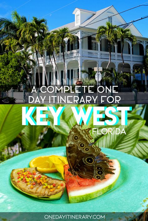 How to spend One day in Key West? | 2020 Itinerary Where To Stay In Key West Florida, Miami To Key West Road Trip, Key West Road Trip Itinerary, Key West Day Trip, Key West Florida Vacation, Miami Key West, Florida Keys Road Trip, Travel Key West, Oahu Vacation