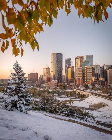 Calgary Vibe on Instagram: “Reposting @mikemaciaszek:⠀ ...⠀ "Good morning Calgary! Hope you all started a day in positive mood like me! Time to start the weekend! 💪🏻🤗"” Calgary Photoshoot, Calgary Aesthetic, Calgary Skyline, Sketch Tips, Rise And Grind, Rise N Grind, Positive Mood, Mountain Homes, Future Life