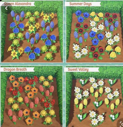 Acnh Flower Color Combinations, Animal Crossing Flower Combinations, Acnh Flower Combinations, Acnh Flowers, Fall Flowers Garden, Acnh Paths, Acnh Patterns, Acnh Inspiration, Strongest Animal