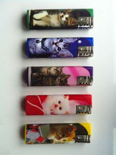 Cool Lighters, No Rain, Pretty Pictures, A Cat, Little Things, Sake, Cats And Kittens, Mood Board, We Heart It