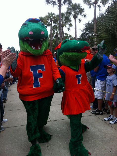 Albert and Alberta!!! Florida Gymnastics, Tide Logo, Alabama Crimson Tide Logo, Homecoming Parade, Colleges In Florida, Dream College, University Of Florida, College Sports, Florida Gators