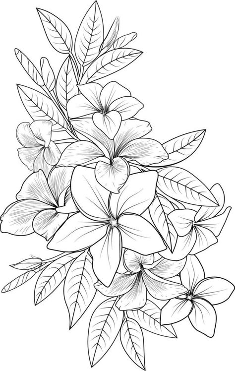 Araliya Flower Drawing, Tropical Flowers Tattoo, Tropical Flowers Drawing, Tropical Sketch, Books Advertisement, Hawaii Flower Tattoos, Flores Plumeria, Background For Posters, Floral Lineart