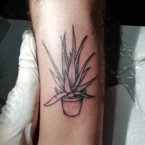 Aloe Tattoo, Aloe Vera Tattoo, Mother And Son Tattoo, Son Tattoo, Tattoo Practice, Tattoo For Son, Healing Tattoo, Plant Tattoo, Tattoo Aftercare