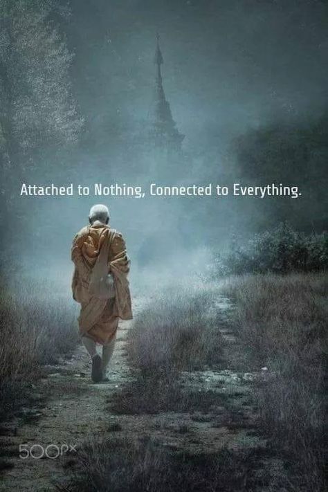 Rumi Love Quotes, Great Inspirational Quotes, Reality Of Life Quotes, Buddha Quotes Inspirational, Buddhism Quote, Buddhist Quotes, Awakening Quotes, Life Quotes Pictures, Philosophical Quotes