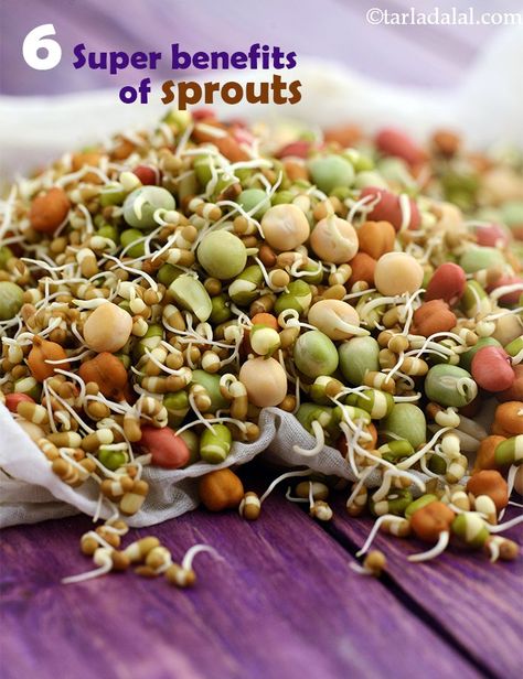 Benefits of Sprouts, Best healthy Indian sprout recipes Sprouts Recipes Indian, Sprouts Benefits, High Calorie Foods, Beans Benefits, Breakfast Beans, Stuffed Paratha, Fancy Food Presentation, Kabuli Chana, High Calorie