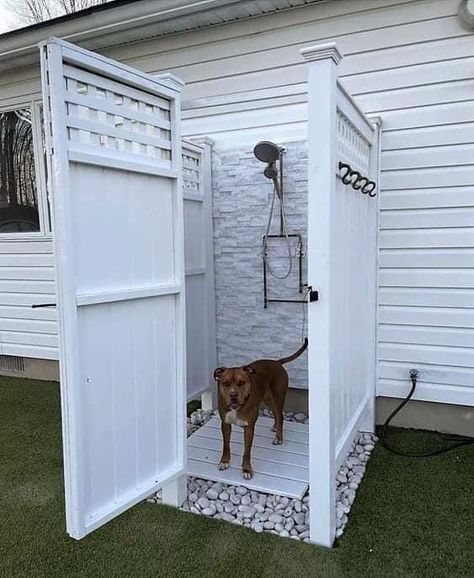 Dog Bathing Station, Shed House Ideas, Outdoor Shower Kits, Outdoor Shower Enclosure, Dog Washing Station, Pool Shower, Shed Building Plans, High Pressure Shower Head, Shore House