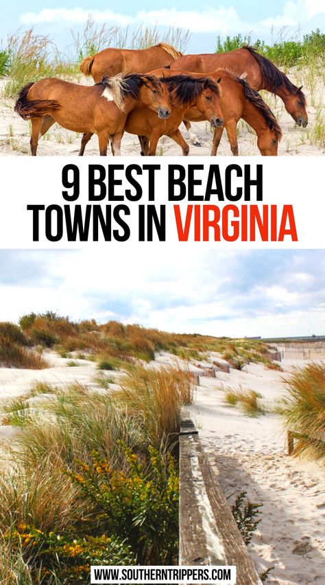 9 Best Beach Towns in Virginia Beaches In Virginia, Southern Usa, Virginia Vacation, American National Parks, North America Travel Destinations, Virginia Beach Virginia, Virginia Travel, Beach Towns, Virginia Usa