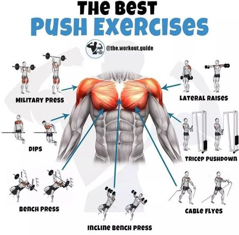 Abs Workout V Cut, Push Exercises, Chest Workout Routine, Push Workout, Gym Workout Chart, Fitness Challenges, Gym Workouts For Men, Gym Tips, Effective Workout Routines