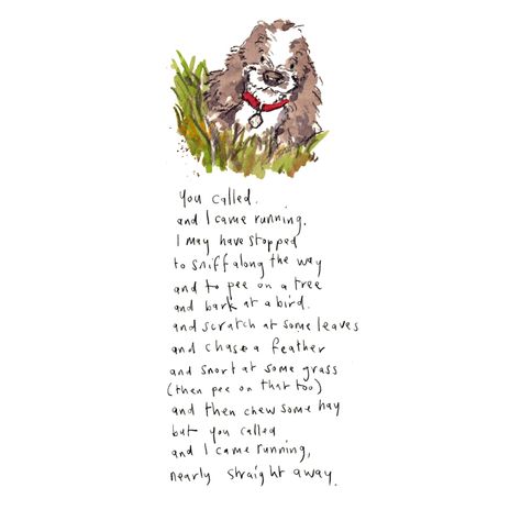 Some words and pictures… – Iain Welch Art and Design Rescued Dog Quotes, Iain Welch Art, Poetry About Dogs, Dog Love Quotes, Dog Design Art, Dog Poems, Colorful Hairstyles, Nanny Dog, Dog Quotes Love