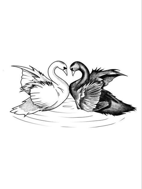 Black And White Swan Tattoo, Two Swans Tattoo, Swan Lake Tattoo, Swans Tattoo, Tattoo Swan, Black Swan Tattoo, Tattoo Prague, Swan Drawing, Lake Tattoo